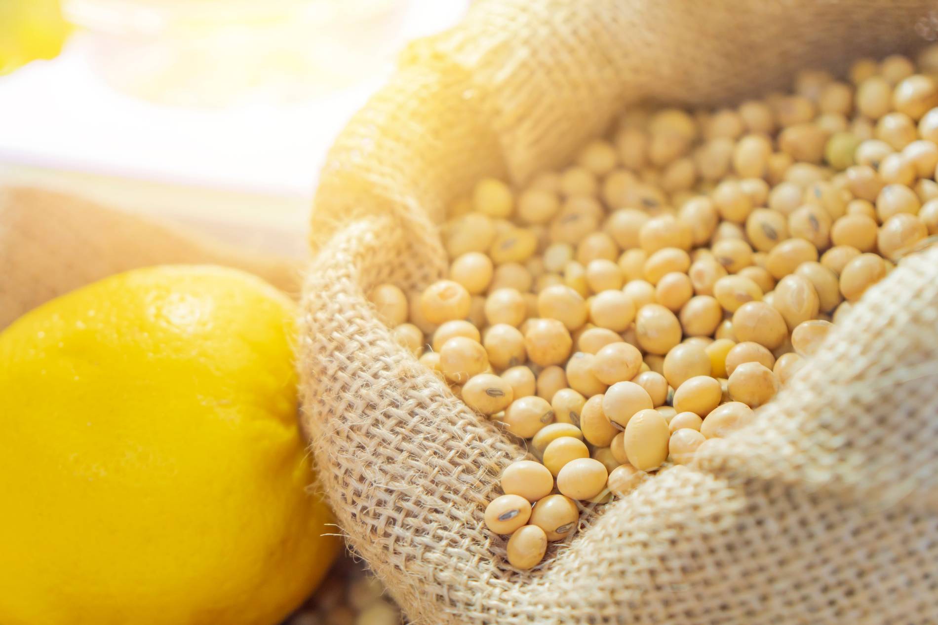 Seed industry field